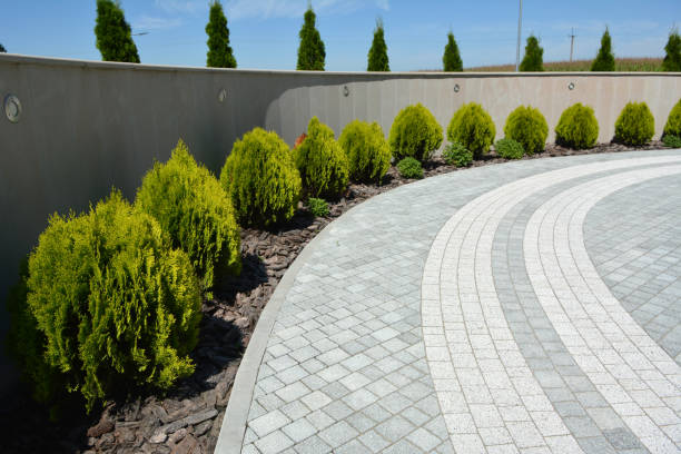 Best Residential Driveway Paver Services  in Montrose, MN