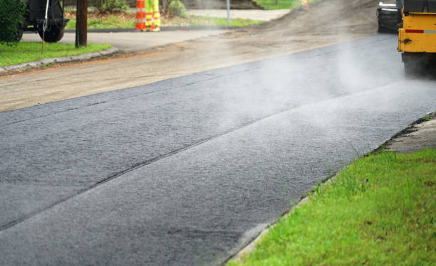 Best Driveway Pavers Near Me  in Montrose, MN
