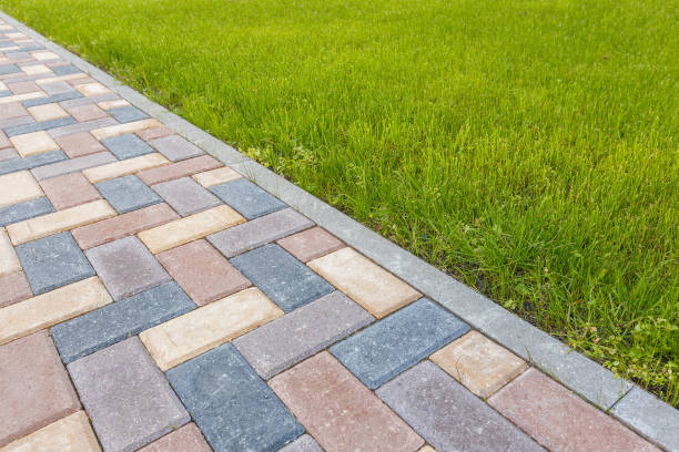 Best Permeable Paver Driveway  in Montrose, MN